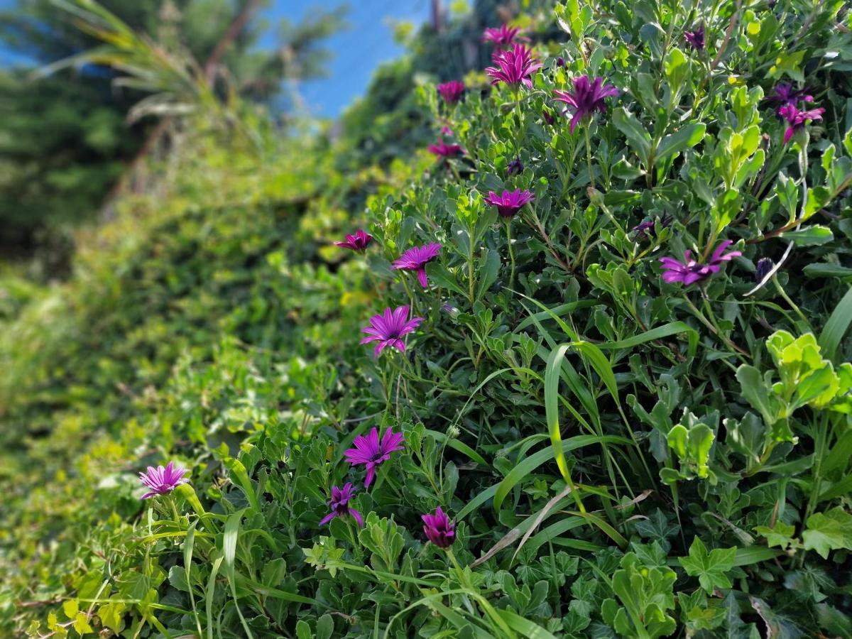 Madeira Sunset Cottage - Nature Retreat Ponta do Pargo Exterior photo