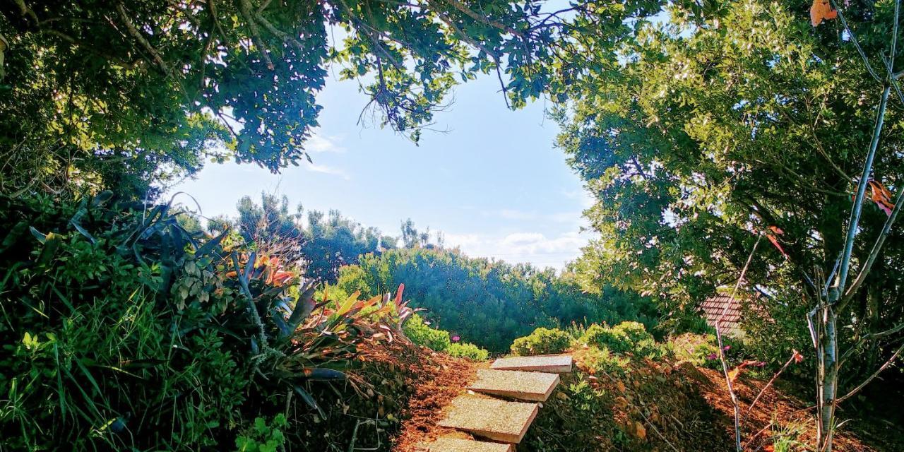 Madeira Sunset Cottage - Nature Retreat Ponta do Pargo Exterior photo